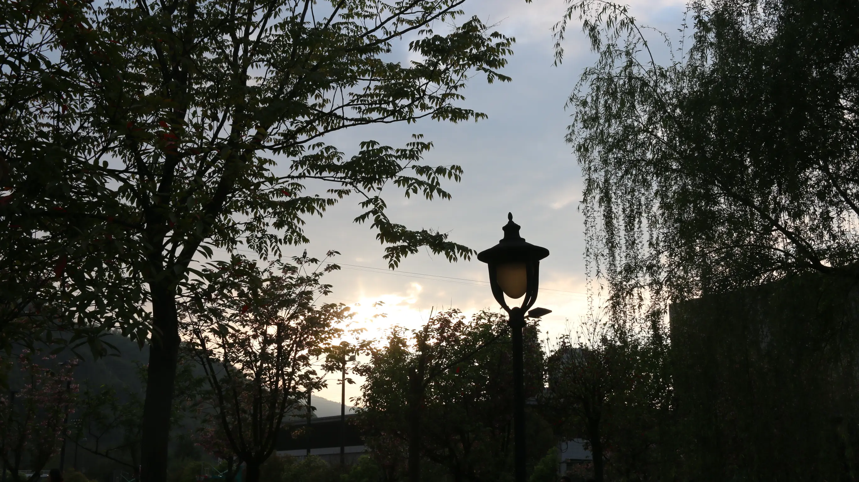 1000030062.webp