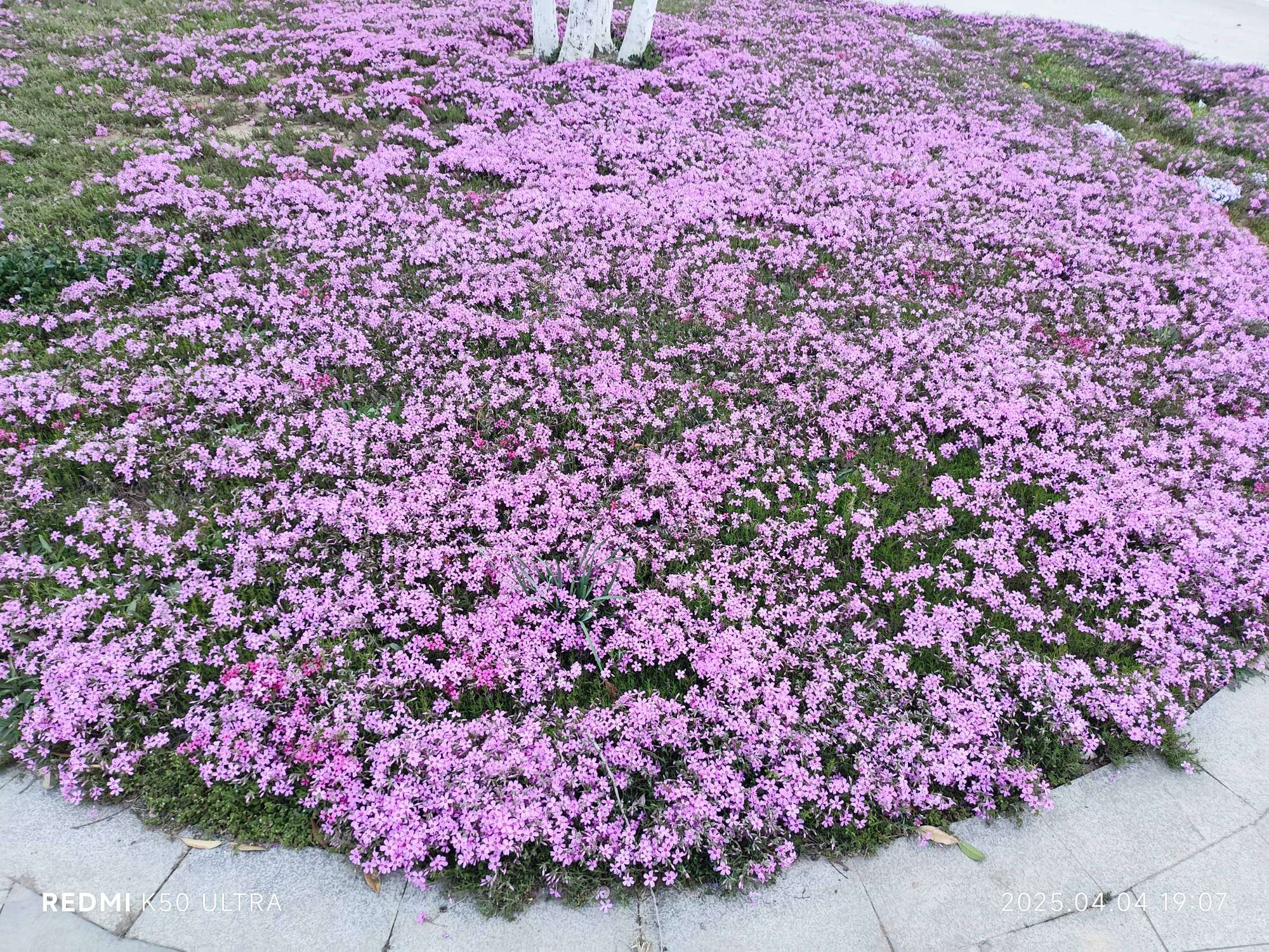 1000030074.jpg
